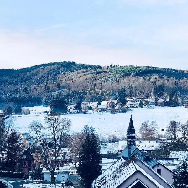 Le Chalet du Hohwald，位于勒奥瓦尔德的酒店