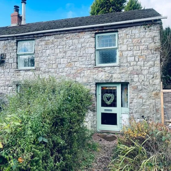 Nant caer Efail Cottage - Stream by the forge，位于Pen-y-cae的酒店