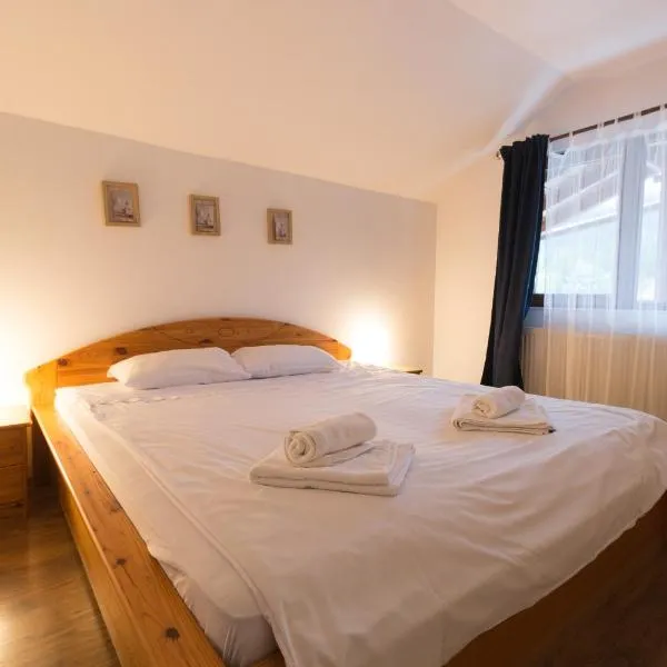 Amber`s Vila，位于布什泰尼的酒店