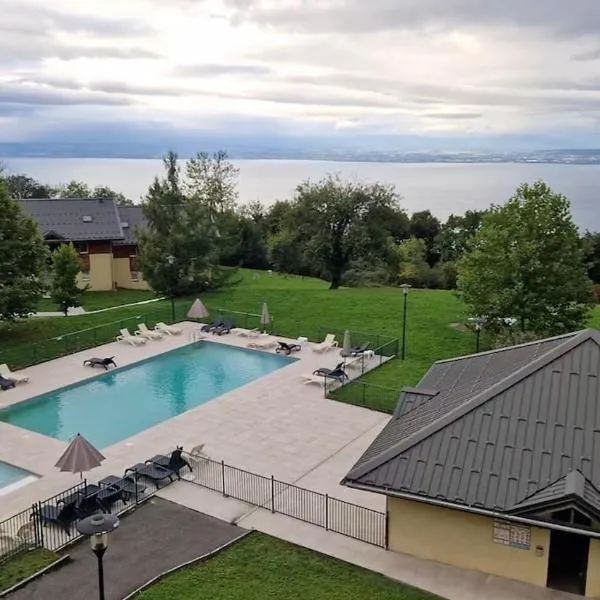 2-room apartment with breathtaking views of Lake Geneva，位于吕格兰的酒店