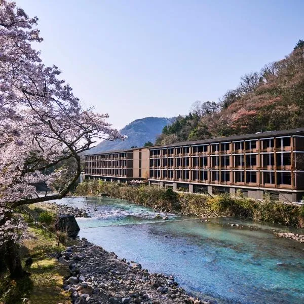 Hotel Indigo Hakone Gora by IHG，位于箱根的酒店