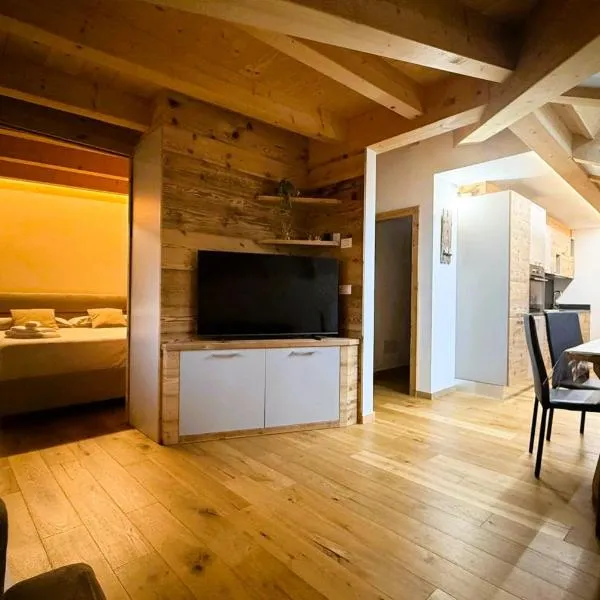 Pragma Apartments - Wood Lodge Predazzo，位于普雷达佐的酒店