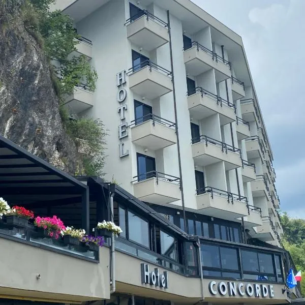 协和酒店，位于阿罗纳的酒店