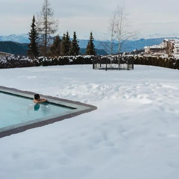 艾里卡健康酒店，位于新波南特的酒店