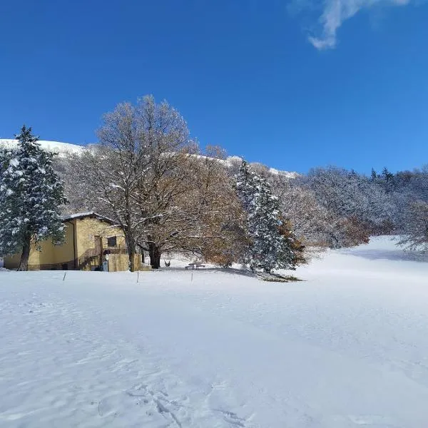 Chalet Monte Alago - Baita in Umbria，位于Poggio Sorifa的酒店