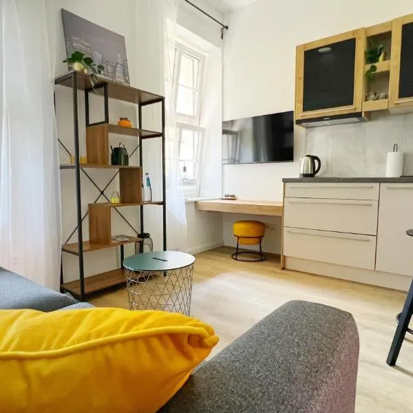 Studio Kopernika 10，位于弗龙堡的酒店