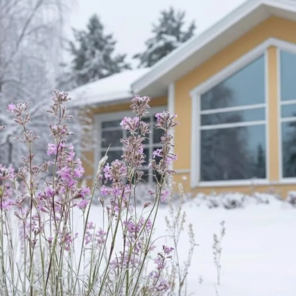 Keltainen talo - tilava huvila lähellä Saloa，位于Vartsala的酒店