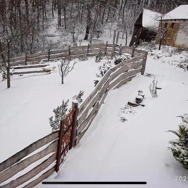 Chata Pavlinka，位于Chvojnica的酒店