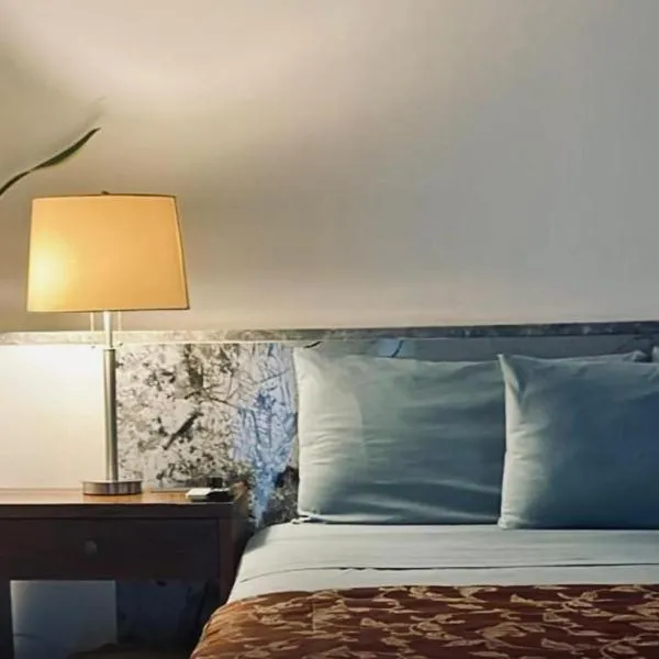 bamboo bed and breakfast，位于圣佩德罗苏拉的酒店