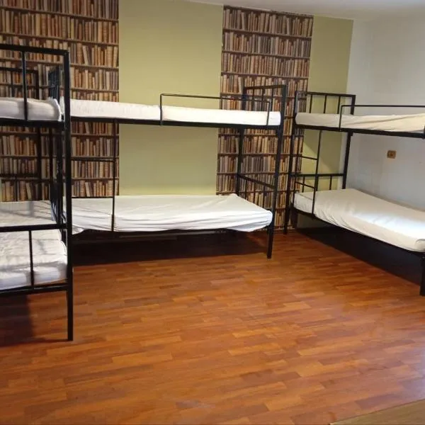 Central Rooms Craiova，位于克拉约瓦的酒店