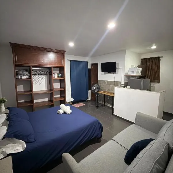 Lofts de Mexiamora，位于瓜纳华托的酒店