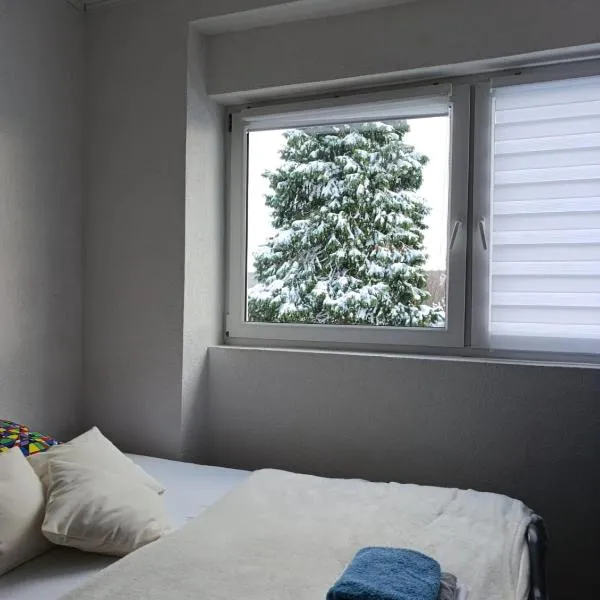Apartman Kepić，位于Sirova Katalena的酒店