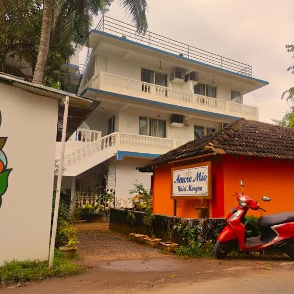 Hotel Amore Mio Morjim - Beachfront Hotel on Morjim Beach，位于莫尔吉姆的酒店