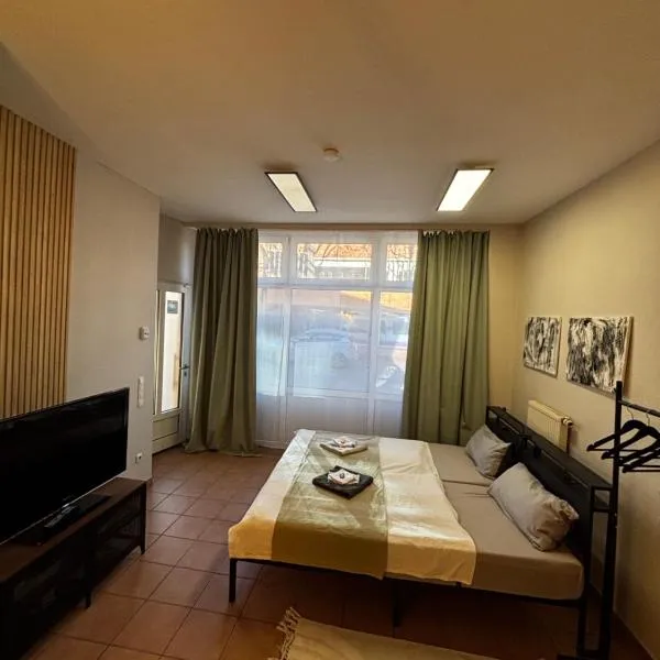 WümmeLoft - Das City Apartment，位于维梅河畔罗滕堡的酒店