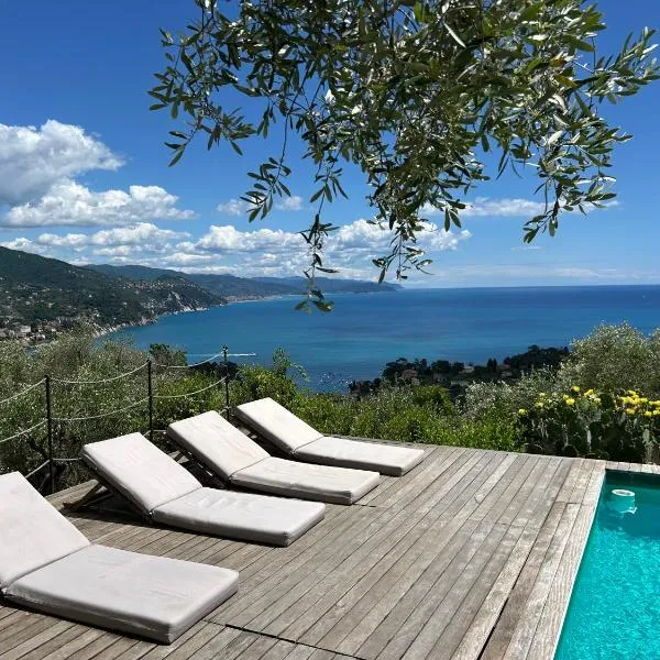 "Ulivi nel Blu" Country House With Pool 2 Rooms，位于拉帕洛的酒店