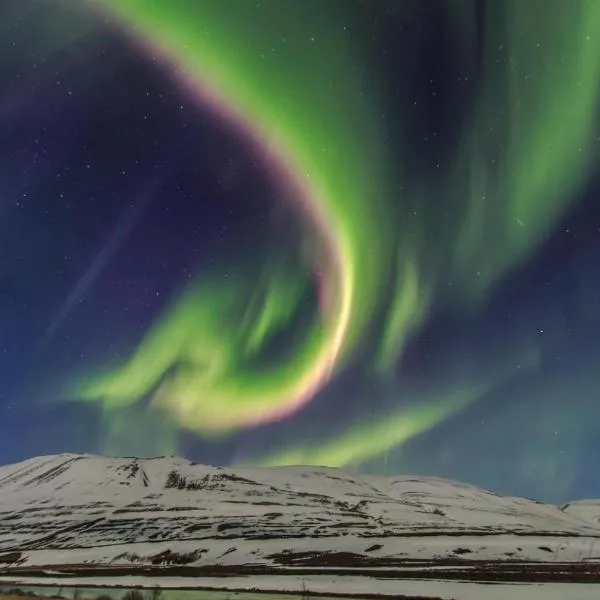 Pálína Cottage studio，位于塞尔福斯的酒店