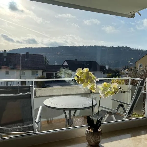 Ruhige Wohnung mit Pano Blick，位于阿尔布斯塔特的酒店
