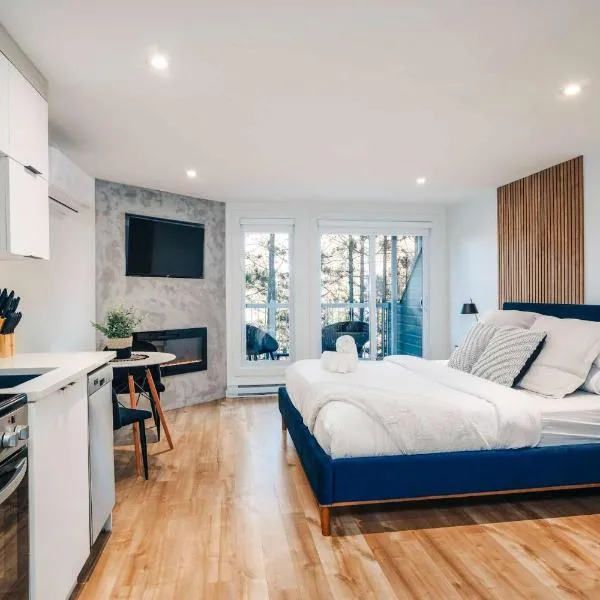 LAO LOFT 105 by Gestion ELITE，位于蒙特朗布朗的酒店