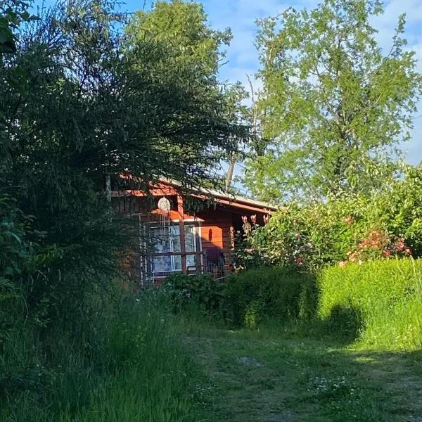 Cabañas La Vovó Futrono，位于Ranco的酒店