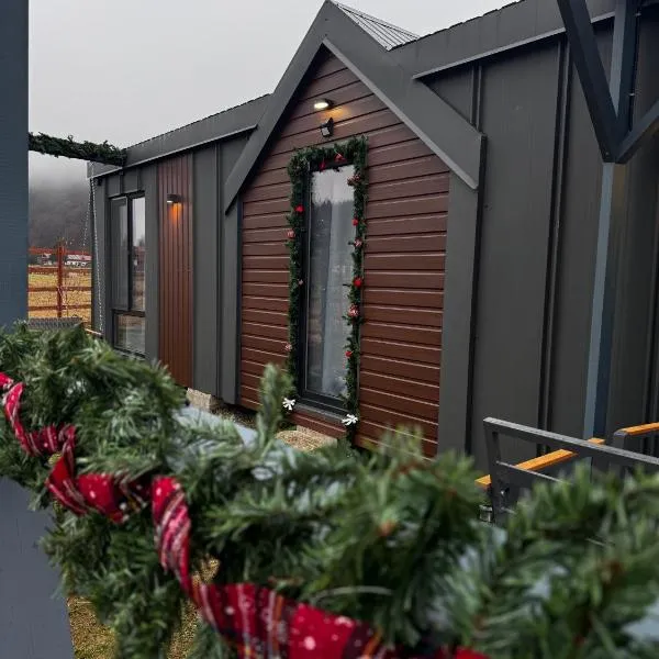 Peak View Tiny House，位于泽尔内什蒂的酒店