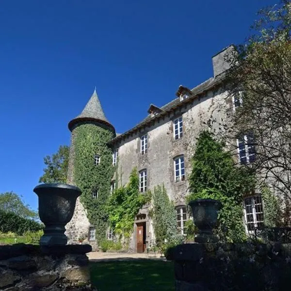 Château de Taussac，位于Brommat的酒店
