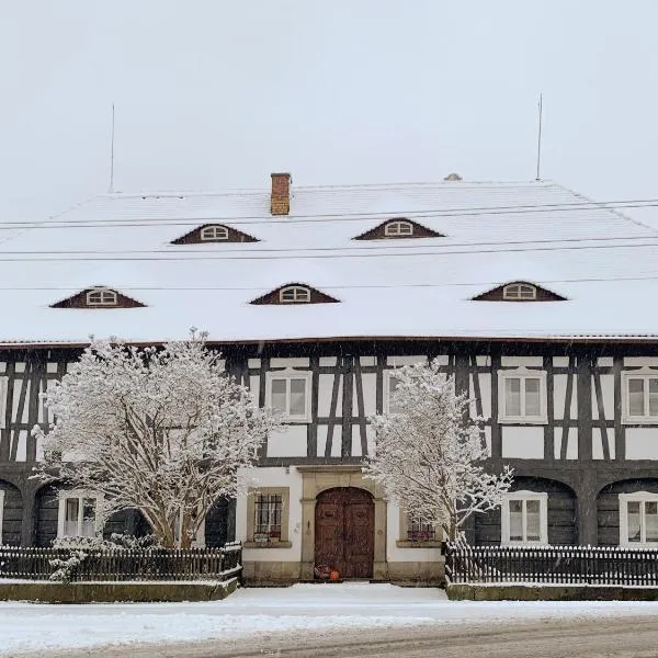 Villa Mandaugold Pension und Ferienwohnungen，位于大舍瑙的酒店