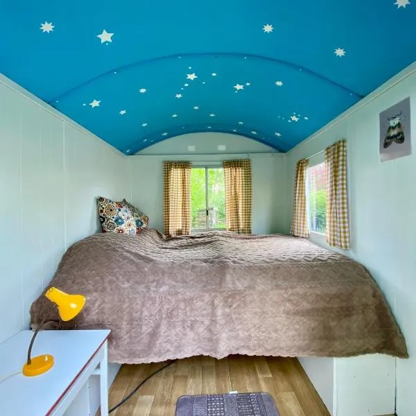 Kleine Pipowagen op camping，位于Wedde的酒店