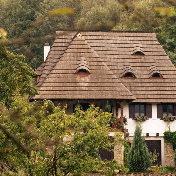 River Song Inn，位于下维谢乌乡的酒店