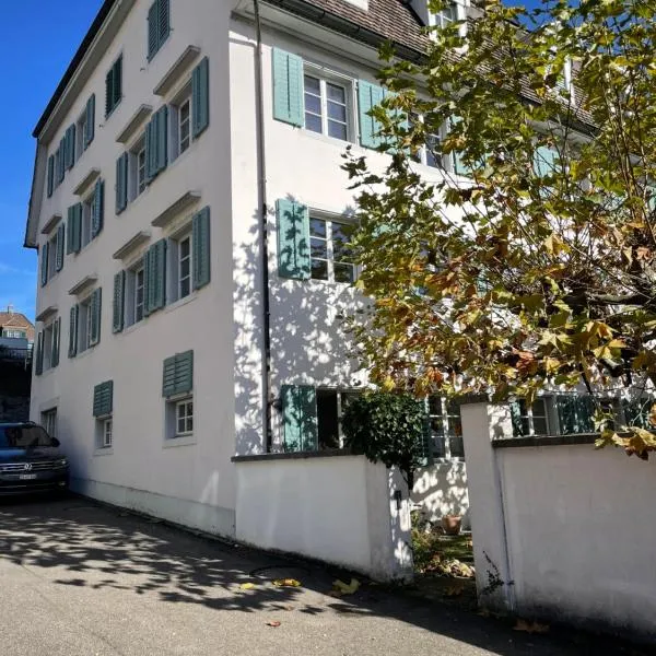Spacious light-flooded apartment with garden at Lake Zurich，位于门内多夫的酒店