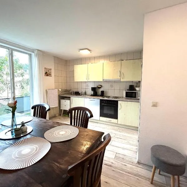 Apartment Alb Glück 1，位于黑欣根的酒店