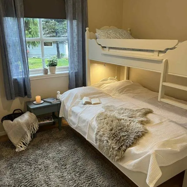 Cozy Central Apartment - Free Parking & Wifi，位于沃斯的酒店