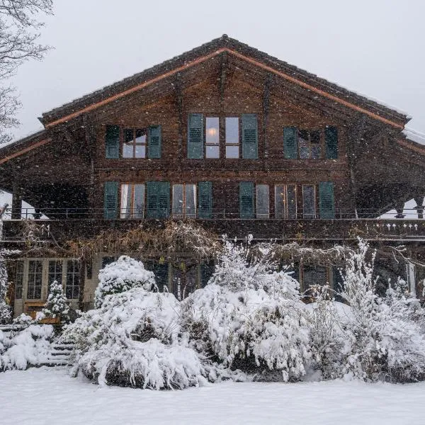 Chalet Verve，位于因特拉肯的酒店