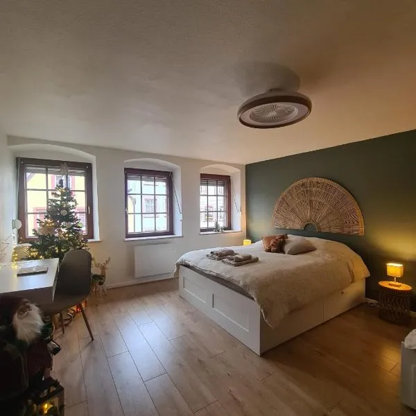 Évasion à Saverne - entre nature et douceur de vivre，位于萨维尔纳的酒店