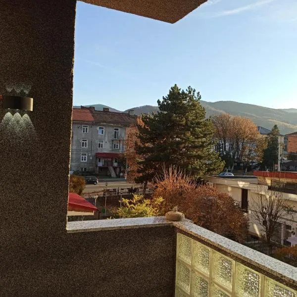 Apartament de Vacanță Straja，位于Lupeni的酒店