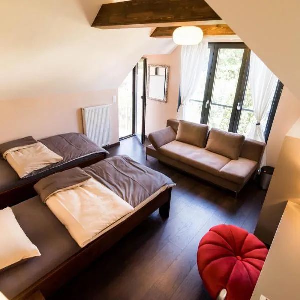 BnB Comfort Guesthouse Olten - Lostorf，位于特林巴赫的酒店