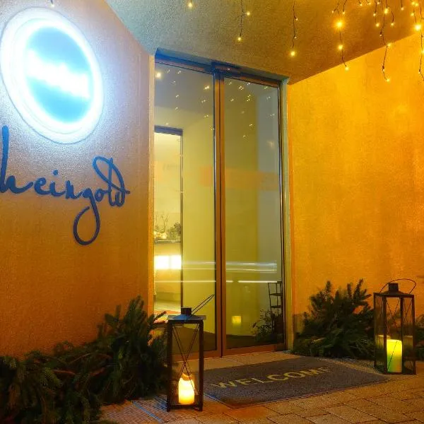 莱茵黄金酒店，位于盖林根的酒店