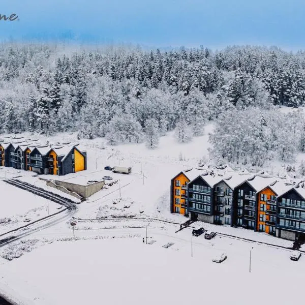 Wonder Hill - klimatyzowane apartamenty z bajkowym widokiem na góry i zalew，位于索斯诺夫卡的酒店