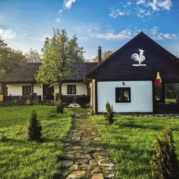 Pensiunea Cocoș，位于Spulber的酒店