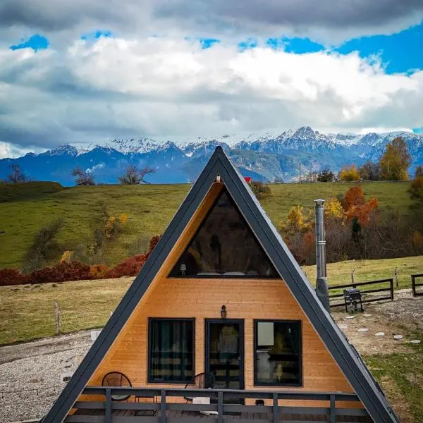 Cabanuta din munti，位于莫伊西德约斯的酒店