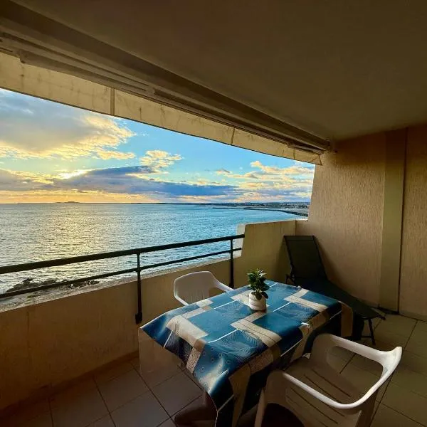 T3 de 65 m² avec accès direct à la plage，位于塞特港的酒店