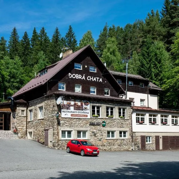 优度假日大酒店，位于Stachy的酒店