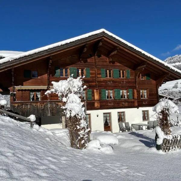 Alpenchalet Spiher-Studio und ein weiteres Schlafzimmer，位于格施塔德的酒店