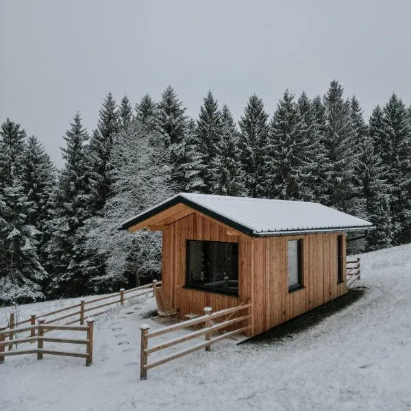Ferienhaus "Moosgrün" - Tiny House Urlaub，位于Ybbsitz的酒店