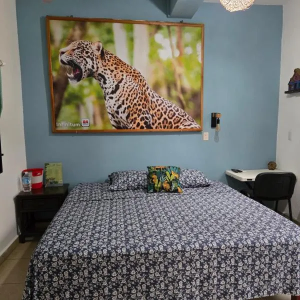 LoftJaguar，位于帕伦克的酒店