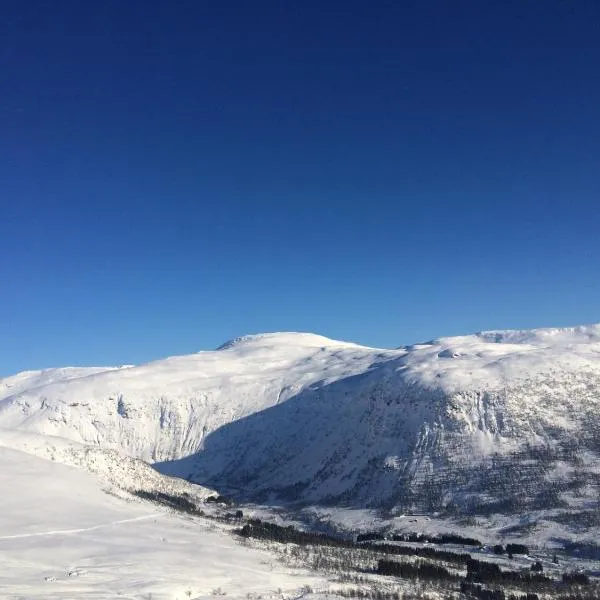 Voss-Oppheim Resort appartment witc acess to swimmingpool，位于Øyjordi的酒店