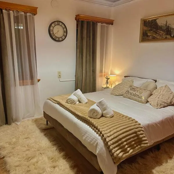 Pindus Nest，位于美特索文的酒店