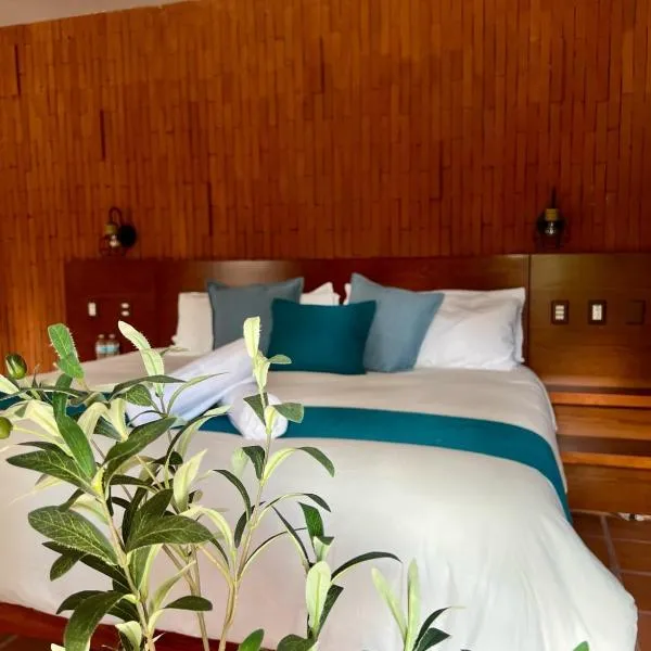 Hotel Boutique Casa Gopar，位于Ocotlán de Morelos的酒店