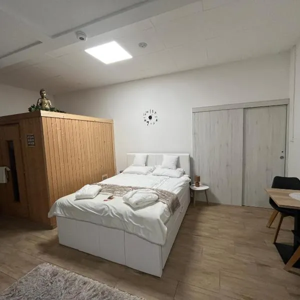 MaBy Wellness Apartment，位于海吉什豪洛姆的酒店