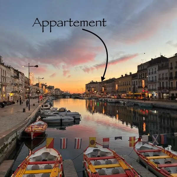 Appart cosy 4 personnes climatisé rue piétonne，位于塞特港的酒店