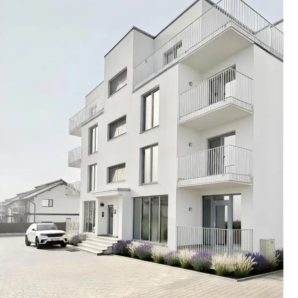 Express Apartments and Penthouse Suceava，位于Ipoteşti的酒店